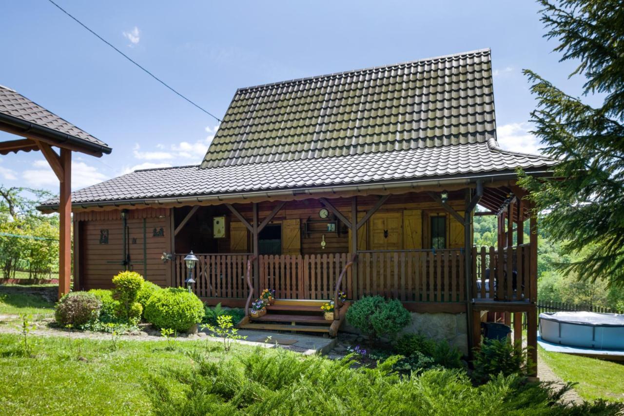 Andrzejowka Villa Kocon Exterior foto